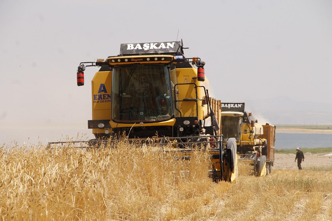 Ahlat Tarım Havzası'nda bereketli buğday hasadına başlandı
